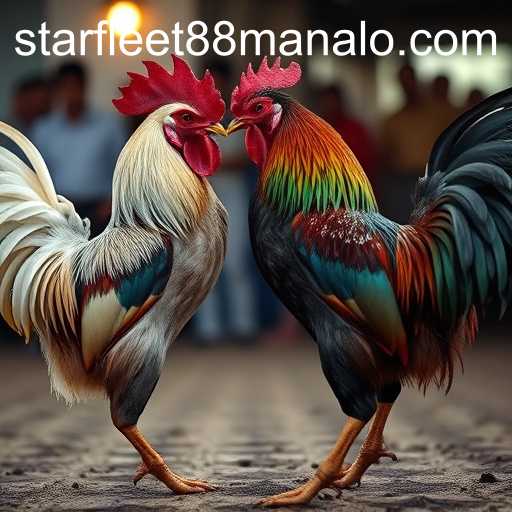 Cockfighting